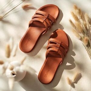 Elegant Tan Leather Sandals